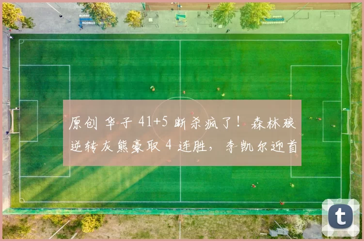 原创 华子 41+5 断杀疯了！森林狼逆转灰熊豪取 4 连胜，李凯尔迎首秀