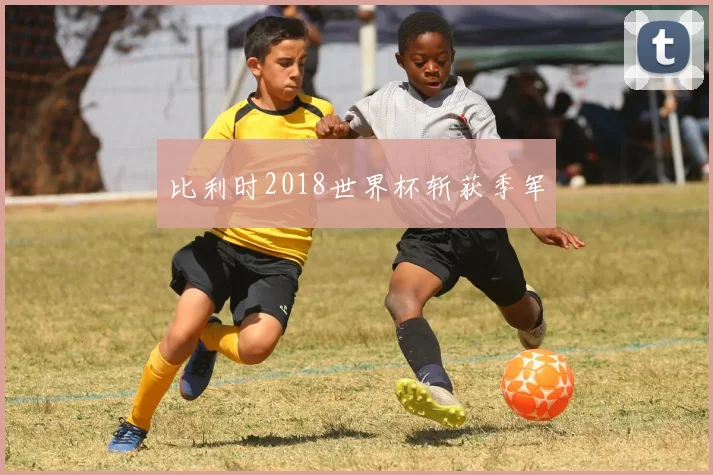比利时2018世界杯斩获季军